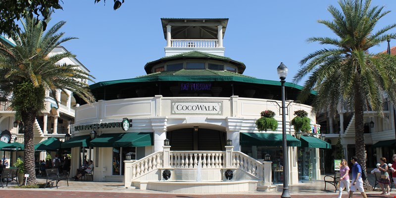 Woman with shopping bags enjoying in shopping